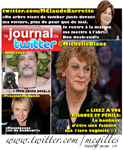 Journal de Twitter 32